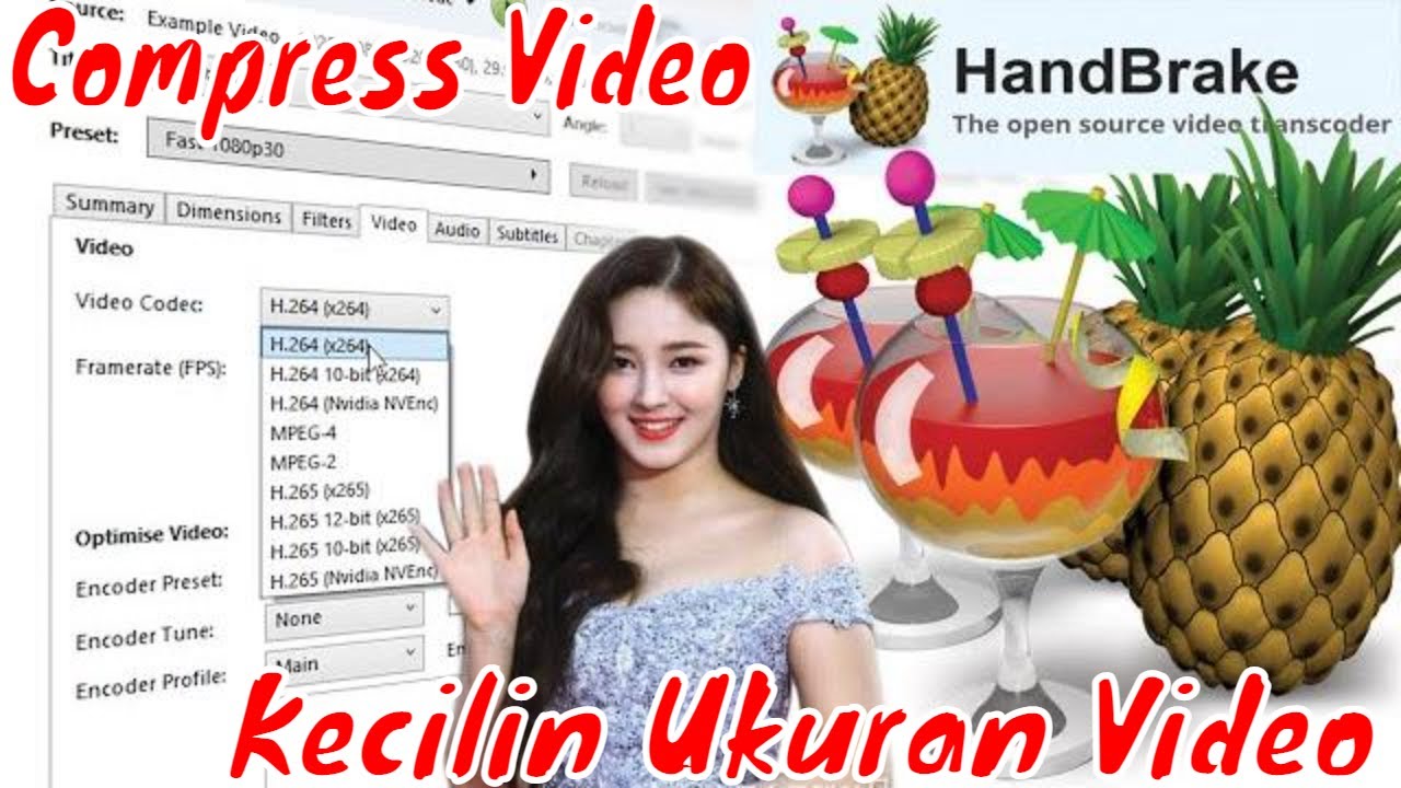 cara menggunakan handbrake video converter
